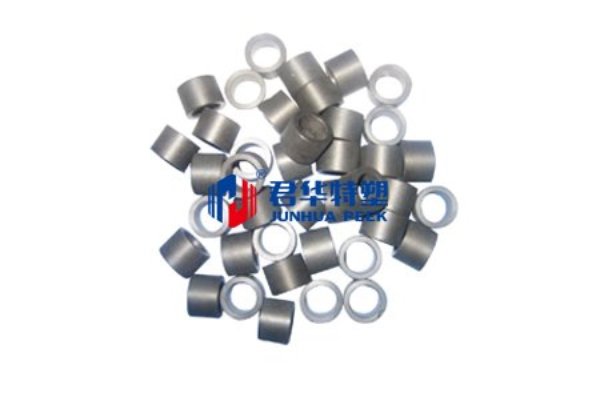 PEEK 오일 펌프 슬라이더