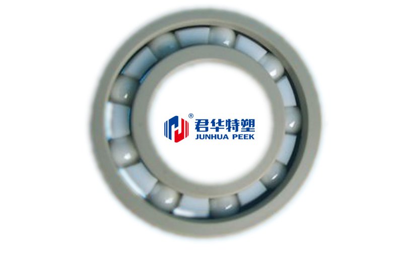 PEEK 베어링
