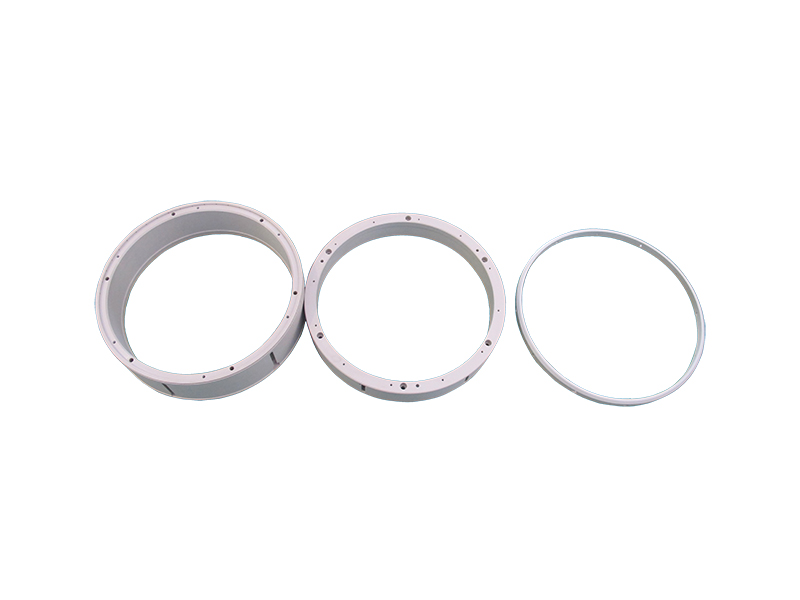 PEEK 세 가지 도금 링