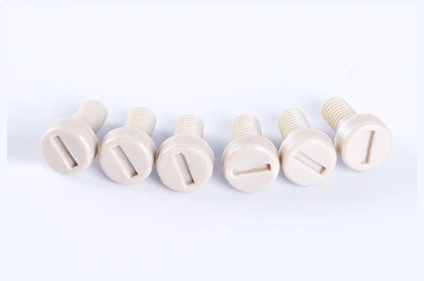 PEEK 둥근 머리 홈 나사